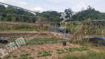 厦门同安区 9.61亩 旱地 经营权出租