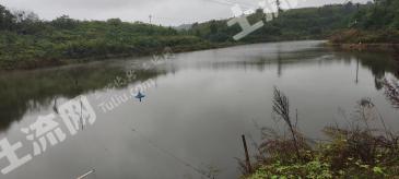 重庆大足区 120亩 坑塘水面 经营权转让