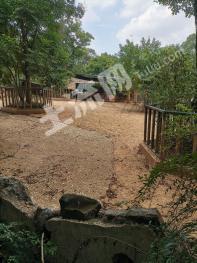 长沙望城区 2000平方米 农场 使用权出租