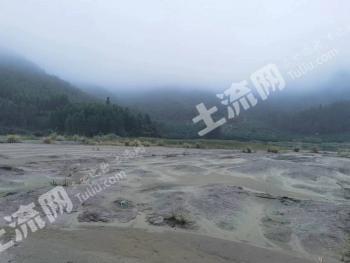 清远阳山县 700亩 灌木林地 经营权转让