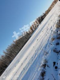 呼伦贝尔鄂伦春自治旗 117.3亩 旱地 经营权出租