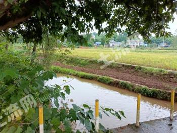 重庆潼南区 90平方米 农村宅基地 使用权出租