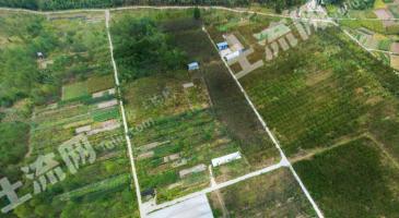 杭州建德市 155亩 果园 经营权出租