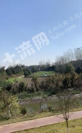 南京浦口区 100亩 旱地 经营权出租