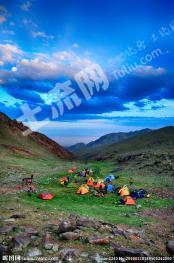 汉中洋县 900亩 乔木林地 经营权转让