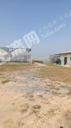 马鞍山和县 101.88亩 水浇地 经营权合作