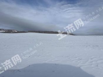 呼伦贝尔牙克石市 2800亩 水浇地 经营权出租