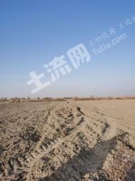 阿克苏新和县 300亩 旱地 经营权出租