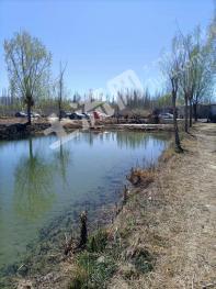 阿克苏乌什县 83.02亩 果园 经营权出租