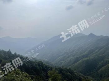 九江修水县 10014.73亩 乔木林地 经营权转让