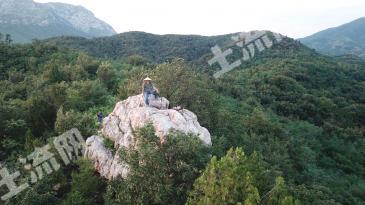 平顶山汝州市 1200亩 其它林地 经营权转让