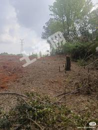 湘潭雨湖区 3.18亩 农村宅基地 使用权出租