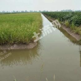 岳阳云溪区 36亩 水田 经营权出租