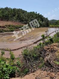 随州随县 150亩 水田 经营权出租