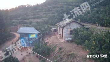 赣州赣县区 15亩 果园 经营权转包