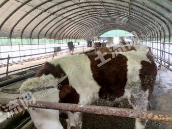 南京浦口区 102.14亩 其它草地 先开发后利用