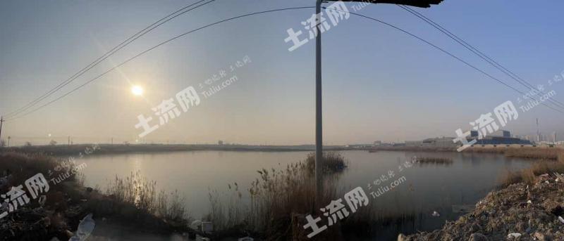 天津滨海新区 232.95亩 坑塘水面 经营权出租