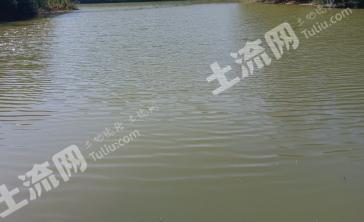 南充蓬安县 100亩 水库水面 经营权出租