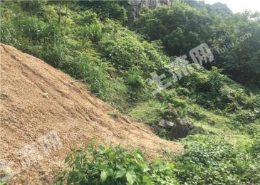 柳州柳江区 50亩 人工牧草地 经营权出租