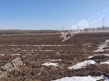 张家口沽源县 1100亩 水浇地 经营权出租