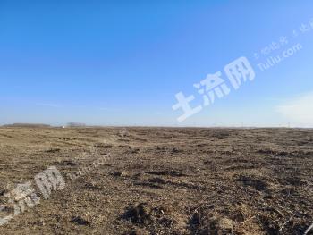 通辽  扎鲁特旗 3400亩 其它林地 经营权出租