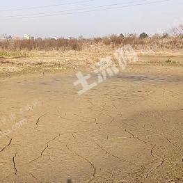 黄冈黄州区 10.05亩 坑塘水面 经营权出租