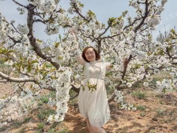 烟台芝罘区 1.48亩 果园 经营权转让