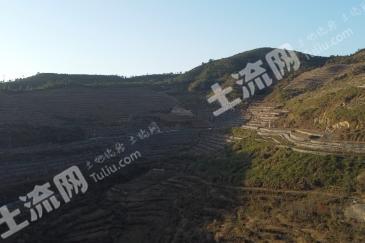 台州三门县 1454.07亩 果园 经营权出租