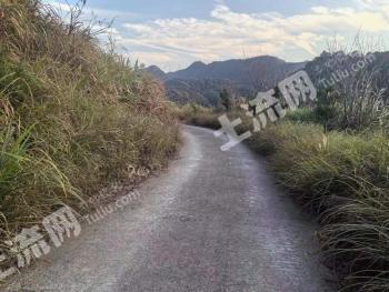 台州三门县 63.64亩 旱地 经营权转包