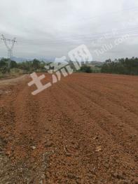 贺州八步区 200亩 水浇地 经营权出租