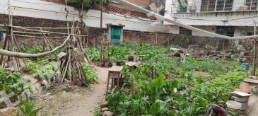 赣州于都县294平方米城镇住宅用地使用权转让