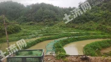 三明尤溪县 49.84亩 荒地 使用权出租