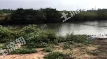 湛江吴川市 30亩 坑塘水面 经营权出租