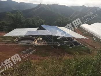 玉溪元江哈尼族彝族傣族自治县 66.48亩 农场 使用权转让