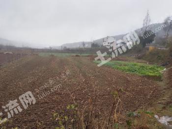 十堰郧阳区 80亩 水田 经营权出租