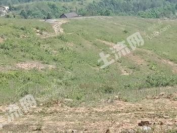 十堰郧阳区 50亩 旱地 经营权出租