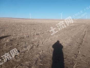 赤峰翁牛特旗 1080.64亩 水浇地 经营权出租