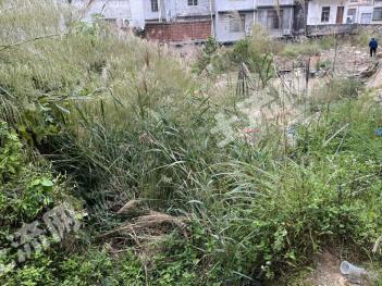 防城港港口区 0.14亩 农村宅基地 使用权出租