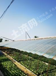 大连甘井子区 2亩 水浇地 经营权出租