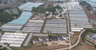 赣州会昌县 239.26亩 水浇地 经营权出租