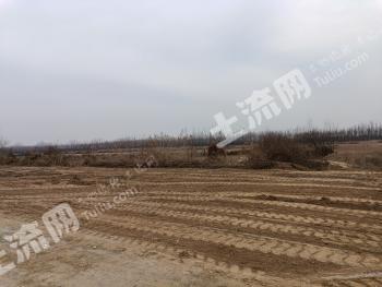 西安高陵区 850亩 水浇地 经营权出租