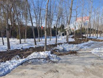 聊城东昌府区 7亩 零售商业用地 使用权转让