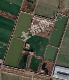 济宁微山县 50亩 农场 使用权出租