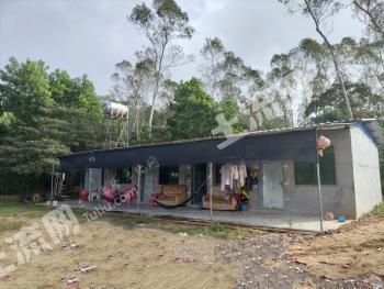 海南澄迈县14亩其它林地经营权转包