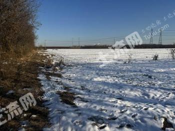 济南历城区 80亩 水浇地 经营权出租