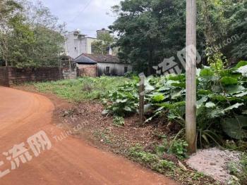 儋州东成镇380亩住宅用地-农村宅基地使用权合作