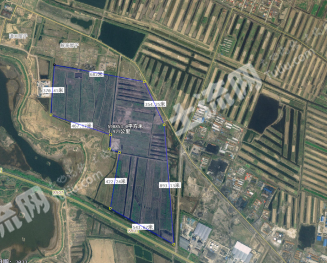 东营垦利区 1438.26亩 水田 经营权出租