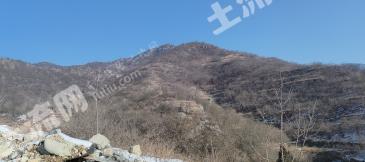 鹤壁鹤山区 1000亩 荒山 使用权出租