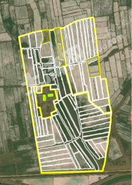 巴彦淖尔乌拉特中旗 1300亩 水浇地 经营权出租