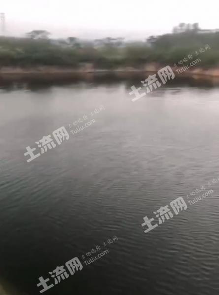 阳江阳西县 60亩 坑塘水面 经营权出租